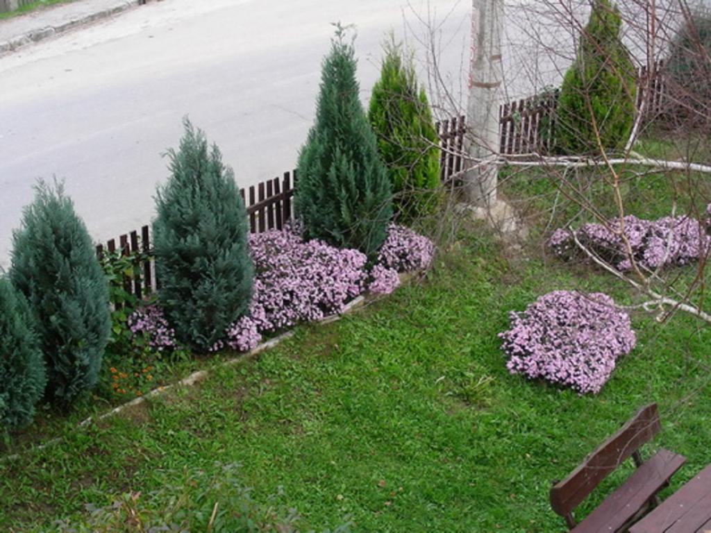 Guesthouse Smiljanic Slavkovica Exterior foto